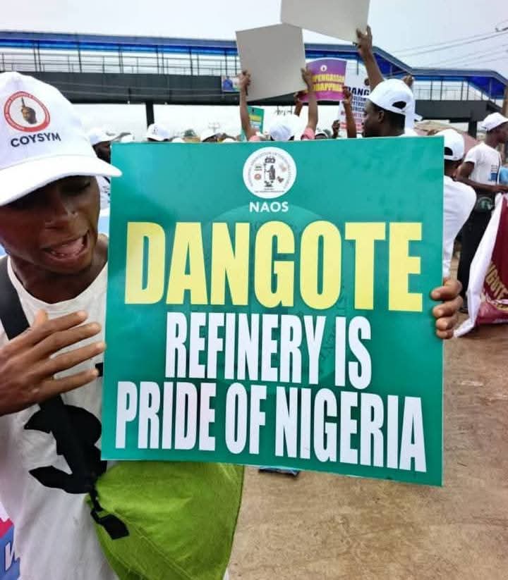 FB-IMG-1759835972652-jpg