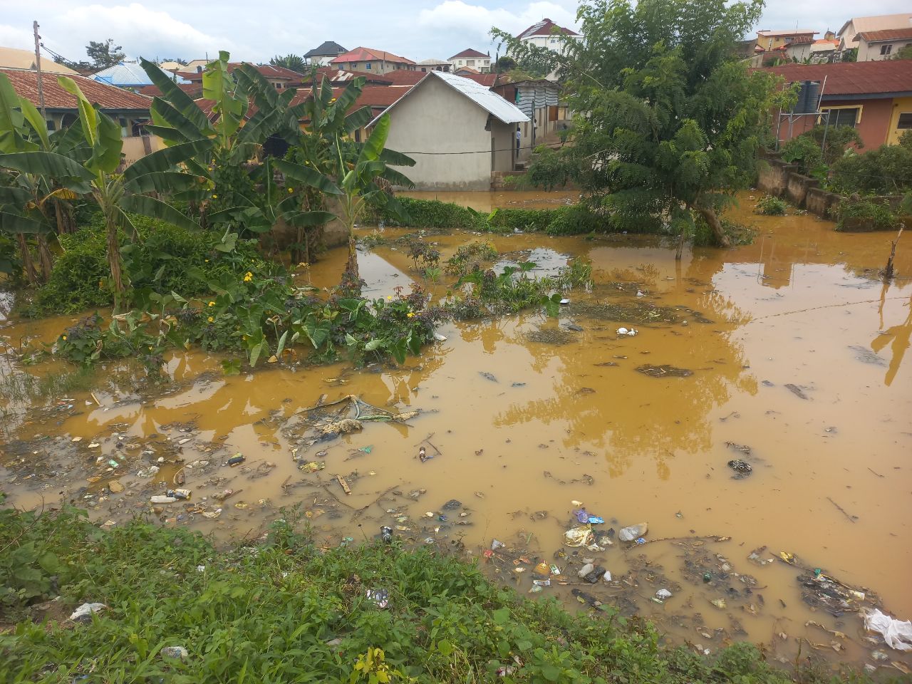 IMG-20251007-115304-694-jpg